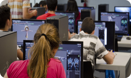 Future-oriented curricula